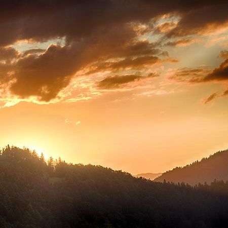 Gostilna Pension Blegos Poljane nad Škofjo Loko 外观 照片