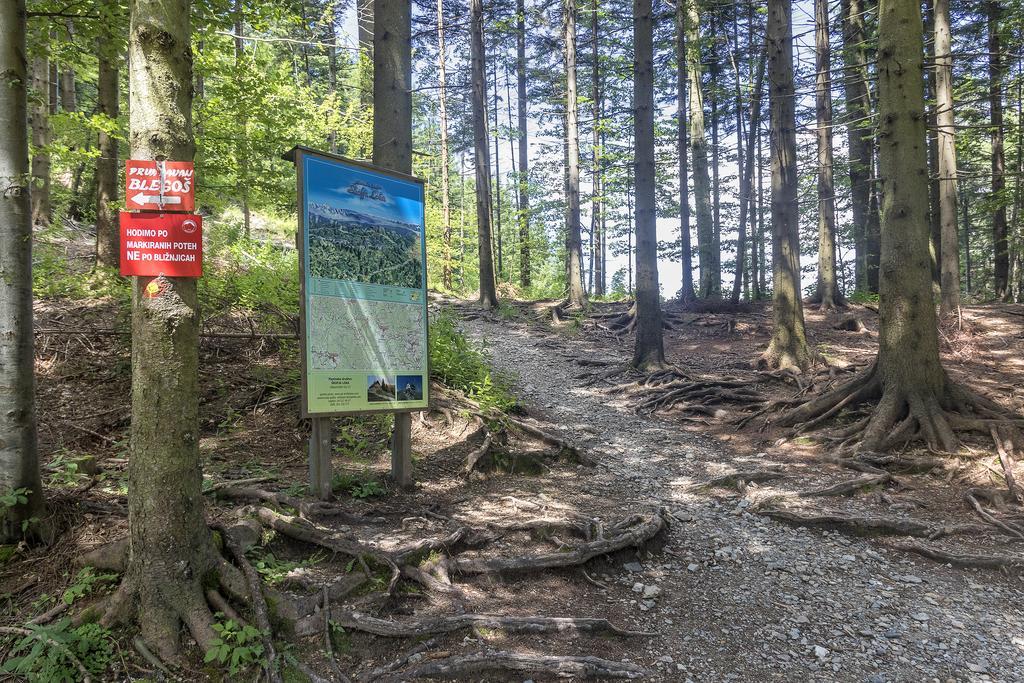 Gostilna Pension Blegos Poljane nad Škofjo Loko 外观 照片