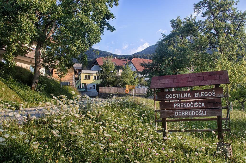 Gostilna Pension Blegos Poljane nad Škofjo Loko 外观 照片