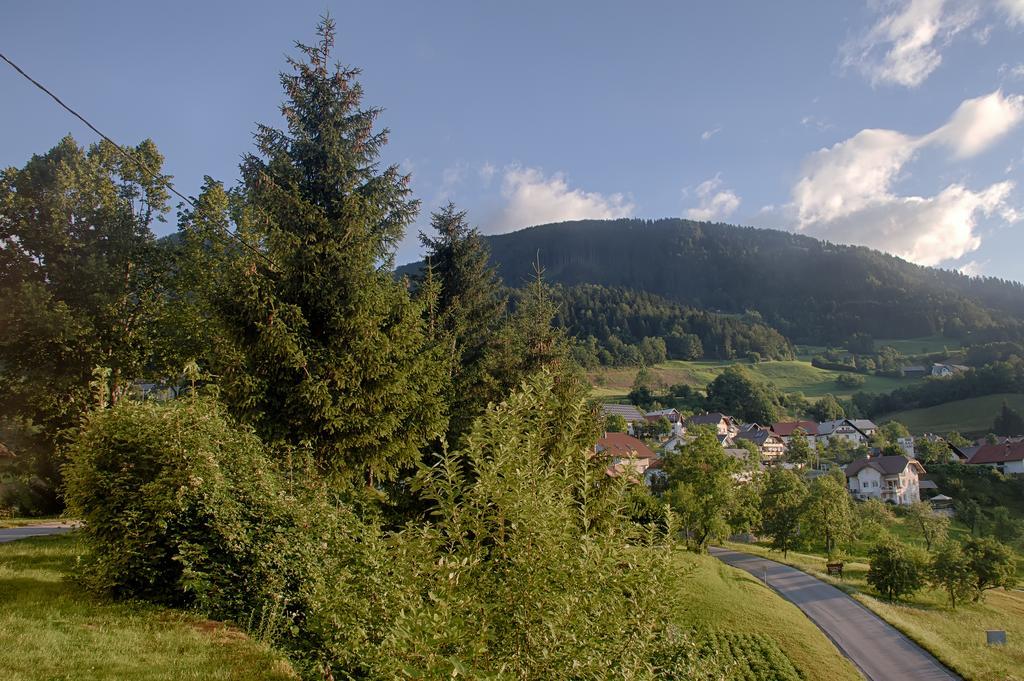 Gostilna Pension Blegos Poljane nad Škofjo Loko 外观 照片