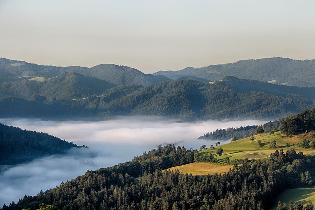 Gostilna Pension Blegos Poljane nad Škofjo Loko 外观 照片