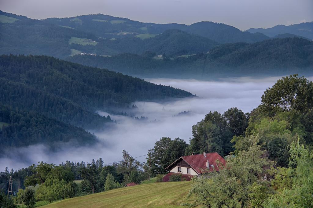 Gostilna Pension Blegos Poljane nad Škofjo Loko 外观 照片