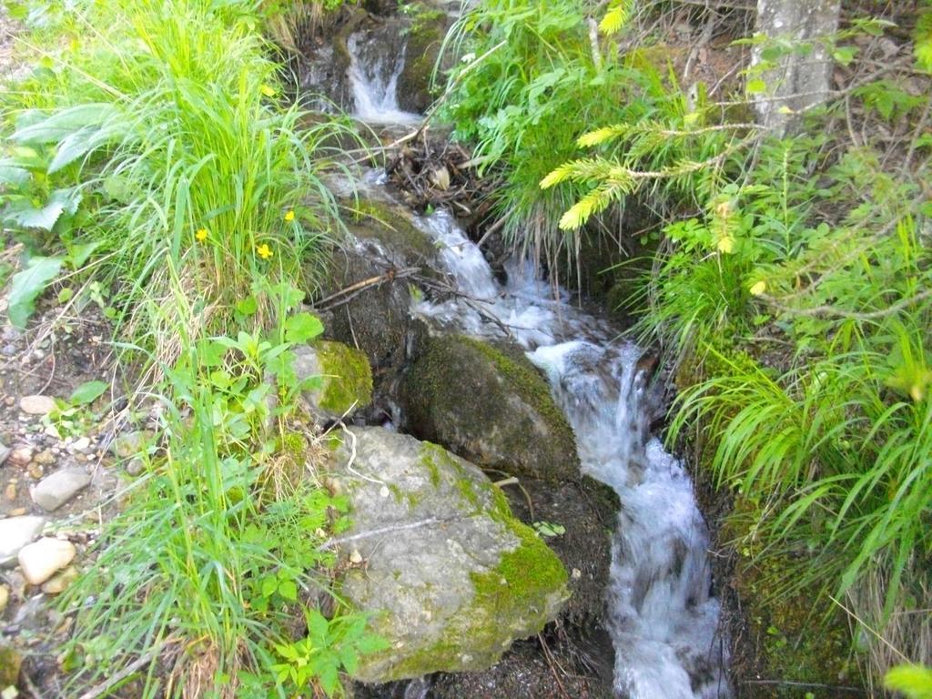 Gostilna Pension Blegos Poljane nad Škofjo Loko 外观 照片
