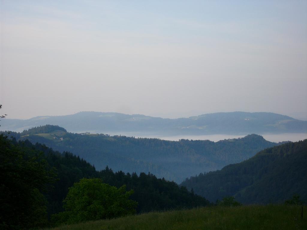Gostilna Pension Blegos Poljane nad Škofjo Loko 外观 照片