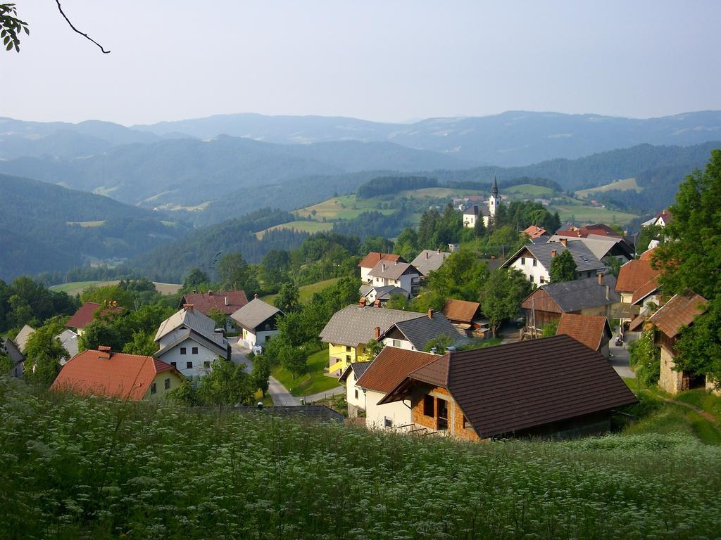 Gostilna Pension Blegos Poljane nad Škofjo Loko 外观 照片