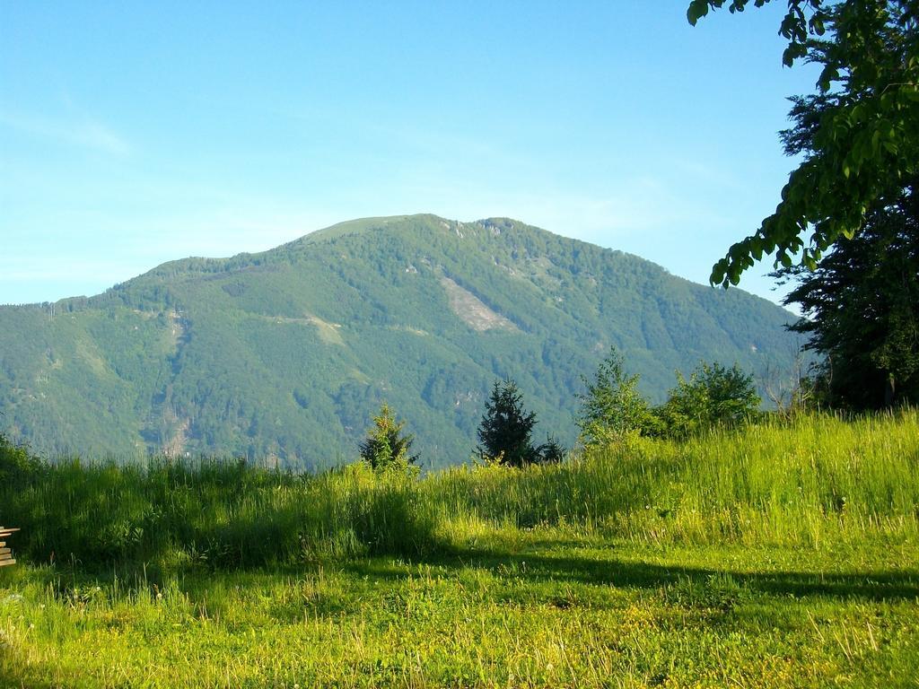 Gostilna Pension Blegos Poljane nad Škofjo Loko 外观 照片